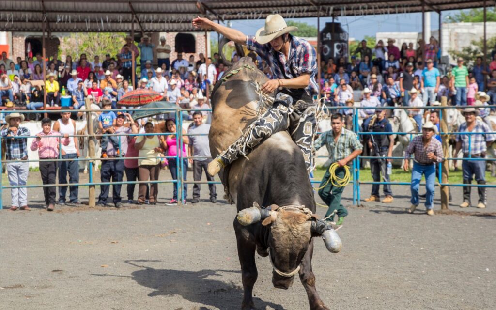 rodeio-e-estilo-sertanejo