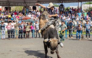 rodeio-e-estilo-sertanejo